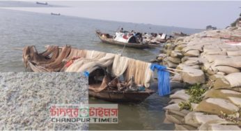 চাঁদপুরে পদ্মা-মেঘনায় চলছে ২৯ প্রজাতির রেনু পোনা নিধন