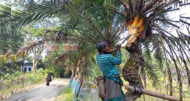 খেজুরের