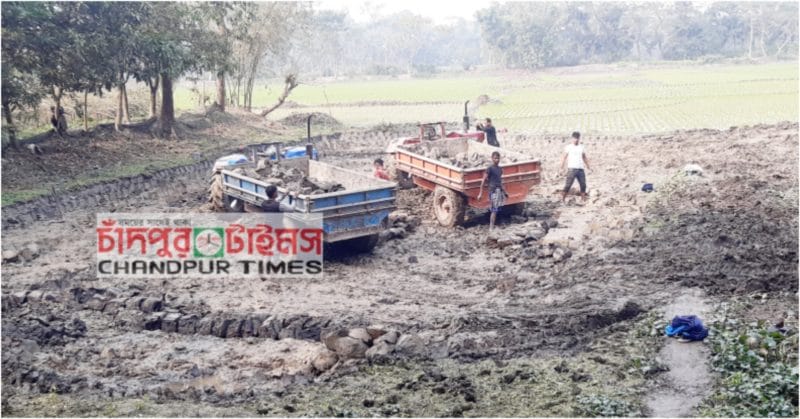 ফরিদগঞ্জে থেমে নেই ফসলি জমির মাটি কাটা