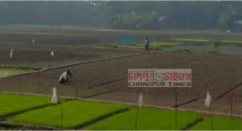 হাজীগঞ্জে পানি সংকটে প্রায় ৫শ হেক্টর কৃষি জমি চাষাবাদে অনিশ্চয়তা