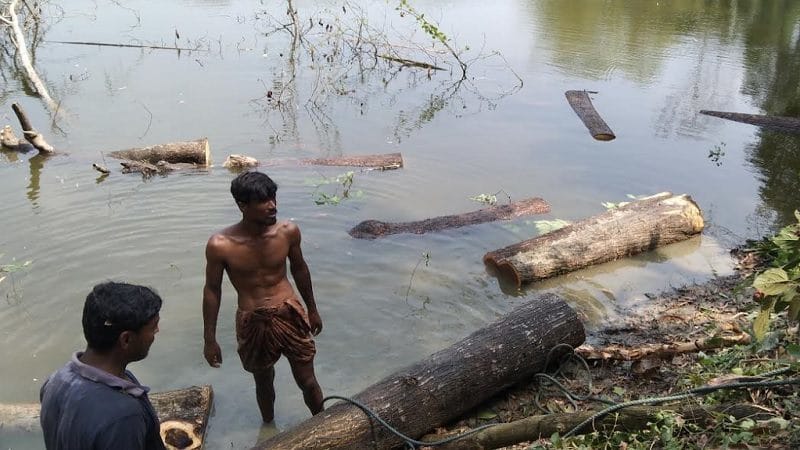 শাহরাস্তিতে পৈত্রিক সম্পত্তি থেকে গাছ কাটার অভিযোগ