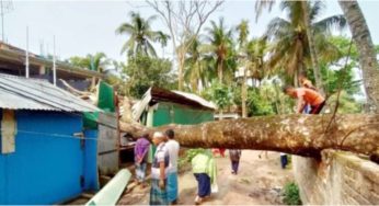 ফরিদগঞ্জে কালবৈশাখির ঝড়ে ব্যাপক ক্ষয়ক্ষতি