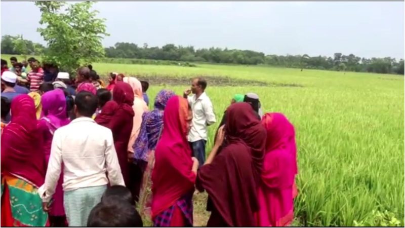 কুমিল্লায় ধানক্ষেত থেকে গৃহবধূর মরদেহ উদ্ধার