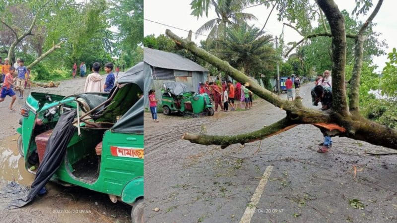 কুমিল্লায় ঝরে গাছ পড়ে নিহত ১, আহত ৪