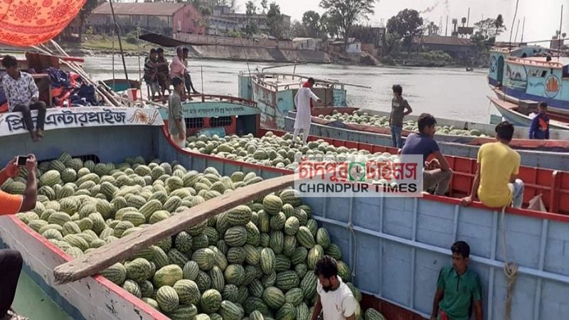 চাঁদপুরে আসছে প্রচুর পরিমাণে তরমুজ, চড়া দামে বিক্রয়