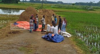 হাজীগঞ্জে বোরো ধান কাটা শেষ,  ন্যায্য মূল্য পাওয়ার আশা