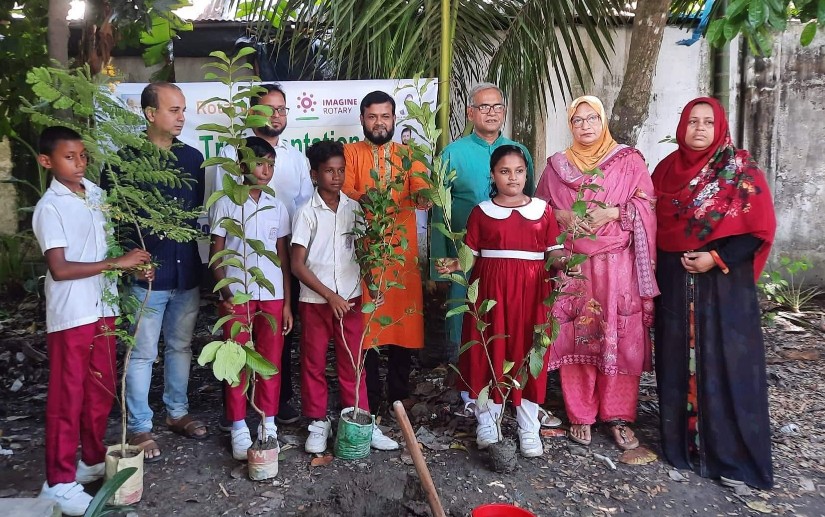 চাঁদপুর রোটারী ক্লাব অব হিলশা সিটির বৃক্ষরোপন  