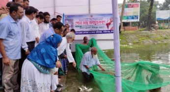 দেশে এবং দেশের বাইরে আমাদের মাছের প্রচুর চাহিদা রয়েছে: এমপি শফিক