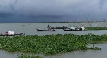 মেঘনার পাড়ে চলছে প্রকাশ্যে ইলিশ ধরা ও বেচা কেনা