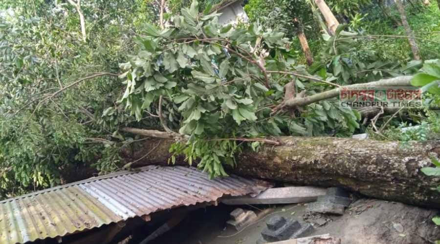 হাজীগঞ্জে ঘূর্ণিঝড়ে ক্ষতিগ্রস্ত পরিবারগুলো দিশেহারা