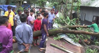 কুমিল্লায় ঘূর্ণিঝড় সিত্রাংয়ের তাণ্ডব