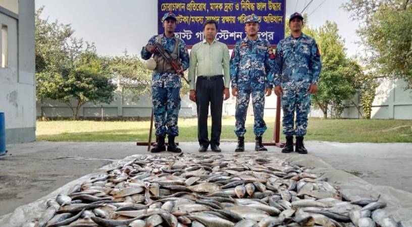 চাঁদপুরে দুই লঞ্চ থেকে ৫ মণ জাটকা জব্দ