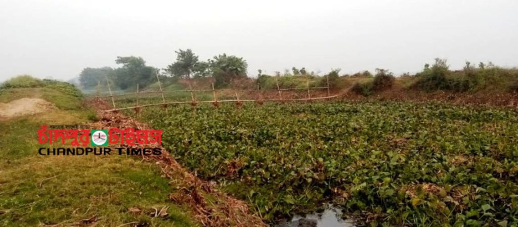 কচুয়ায় ব্রিজ না থাকায় চরম দুর্ভোগ কৃষকের