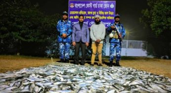 চাঁদপুরে ৪৪০ কেজি জাটকা এতিমখানা ও অসহায়দের মধ্যে বিতরণ