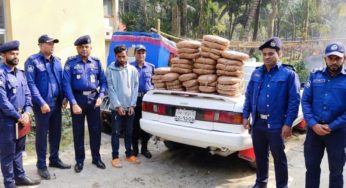 শাহরাস্তিতে প্রাইভেটকার ধাওয়া করে ৫০ কেজি গাঁজাসহ যুবক আটক