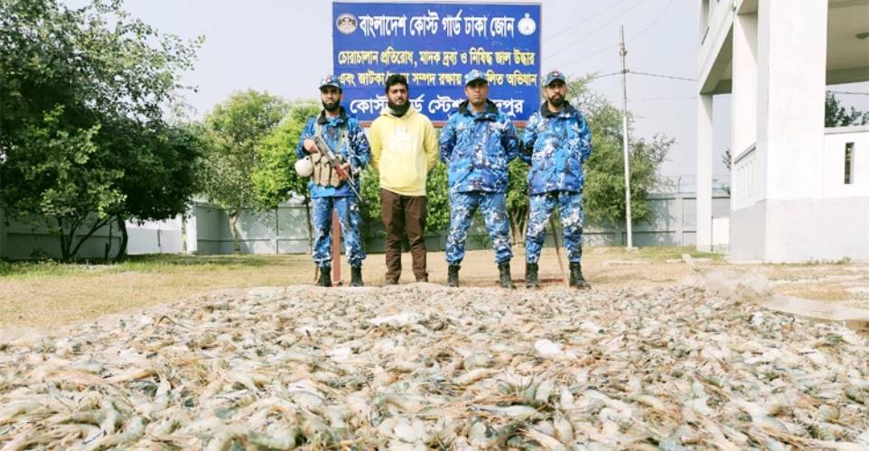 চাঁদপুরে ১ হাজার ২০ কেজি জেলিযুক্ত চিংড়ি জব্দ