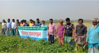 চাঁদপুর ইব্রাহীমপুরে ফসলি জমির মাটি কাটার প্রতিবাদে কৃষক ও এলাকাবাসীর মানববন্ধন