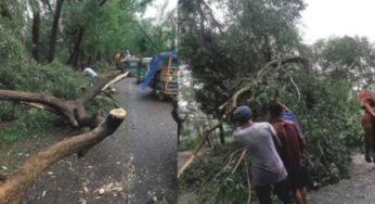 হঠাৎ ঝড়ে হাজীগঞ্জে বাড়িঘরে ব্যাপক ক্ষতি, বৃদ্ধ নিহত