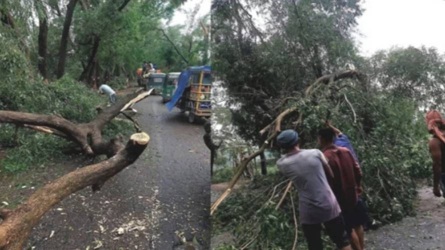 হঠাৎ ঝড়ে হাজীগঞ্জে বাড়িঘরে ব্যাপক ক্ষতি, বৃদ্ধ নিহত