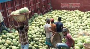 চাঁদপুরে তরমুজের সরবরাহ বাড়ছে, কর্মব্যস্ত ব্যবসায়ী-শ্রমিকরা