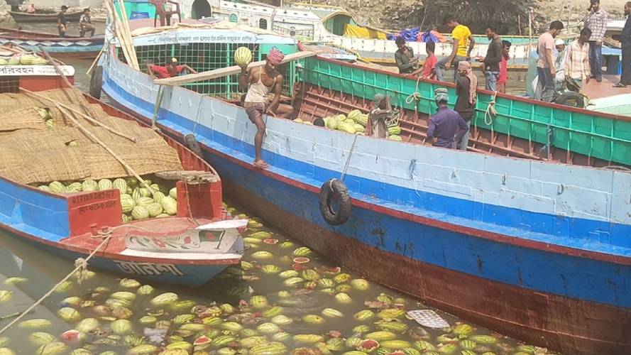 ক্রেতা নেই, আড়তে-ট্রলারে পচছে তরমুজ