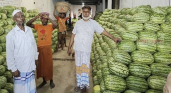 প্রচণ্ড গরমে হাজীগঞ্জে জমে উঠেছে তরমুজের হাট