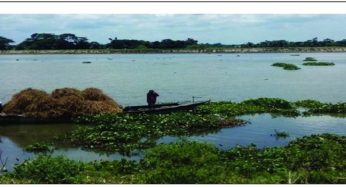 বিপুল জলরাশি,মৎস্য ও প্রাণিকূলের বিশাল সম্ভারে সমৃদ্ধ মতলবের ধনাগোদা নদী