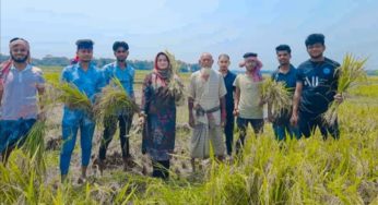 চাঁদপুরে কৃষকের ধান কেটে বাড়ি পৌঁছে দিল ছাত্রলীগ