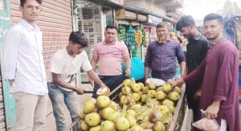 মতলব ছেংগারচর বাজারে তাল শাঁসের বেচাকেনা জমজমাট