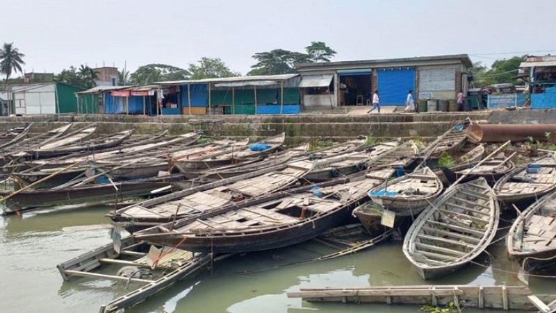 চাঁদপুরে নিলামে বিক্রি হলো ৫২ নৌকা