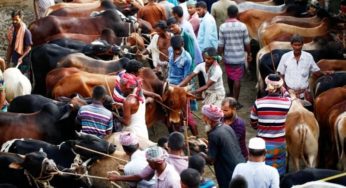 পশুর হাটে ও কুরবানিকালীন স্বাস্থ্যবিধি মেনে চলার নির্দেশিকা