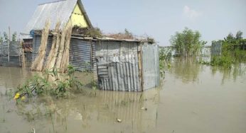 তলিয়ে গেছে চারণভূমি, বিশুদ্ধ পানির সংকট