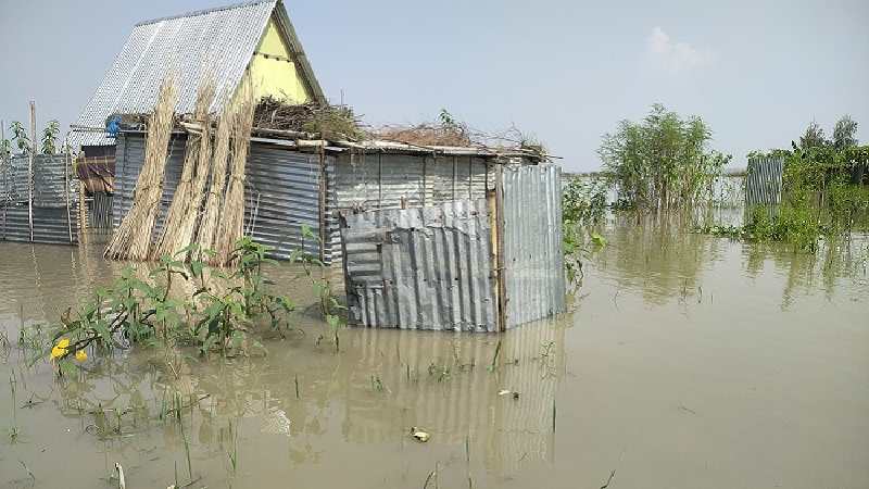 তলিয়ে গেছে চারণভূমি, বিশুদ্ধ পানির সংকট