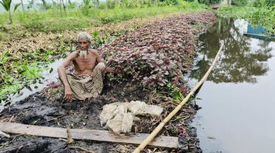 হাজীগঞ্জ ডাকাতিয়ার তীরে ভাসমান পর্যায়ে দৃশ্যমান শাকসবজির চাষ