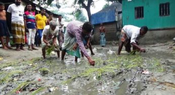 কচুয়ায় কাঁচা রাস্তায় ধানের চারা লাগিয়ে প্রতিবাদ