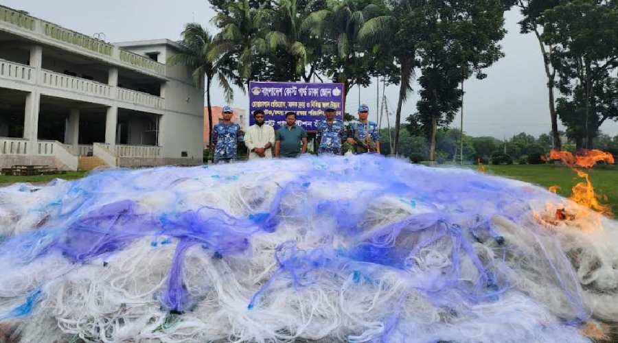 চাঁদপুরে সাড়ে ১০ কোটি টাকা মূল্যের কারেন্ট জাল জব্দ