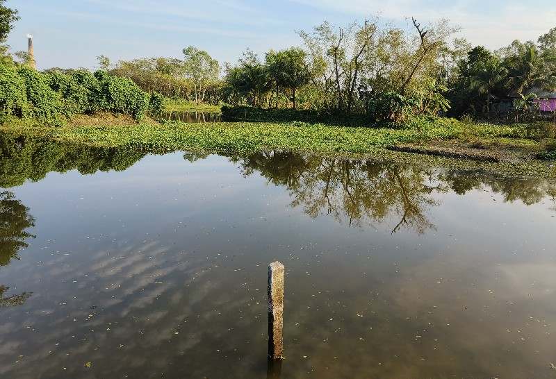 ফরিদগঞ্জে অর্ধশত কৃষকের মাথায় হাত 