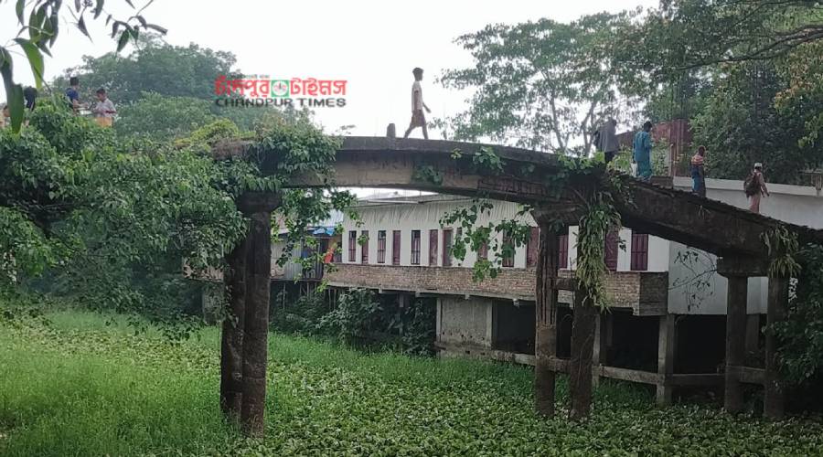 দুই উপজেলার মধ্যবর্তী সেতুটি সীমানা জটিলতায় সংস্কার হচ্ছে না