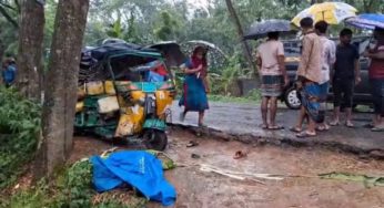 হাজীগঞ্জে বালুবাহী পিকআপ ও অটোরিকশার সংঘর্ষে বাবা-ছেলে নিহত