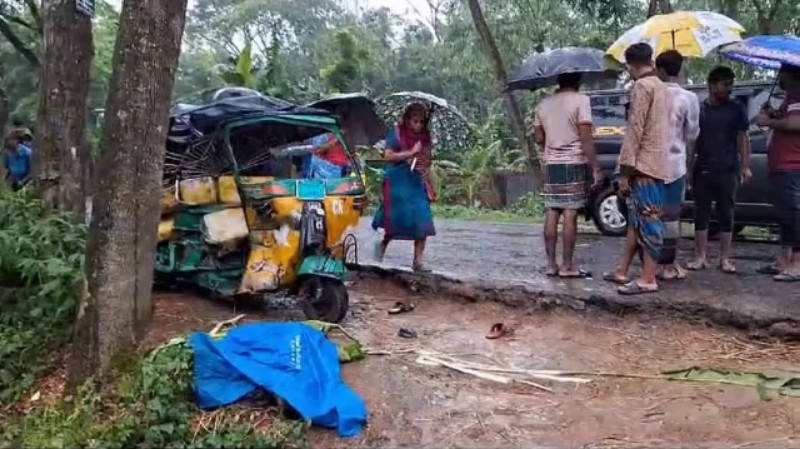 হাজীগঞ্জে বালুবাহী পিকআপ ও অটোরিকশার সংঘর্ষে বাবা-ছেলে নিহত