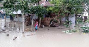 বাংলাদেশে অনুপ্রবেশের দায়ে কুমিল্লায় আটক ২৭