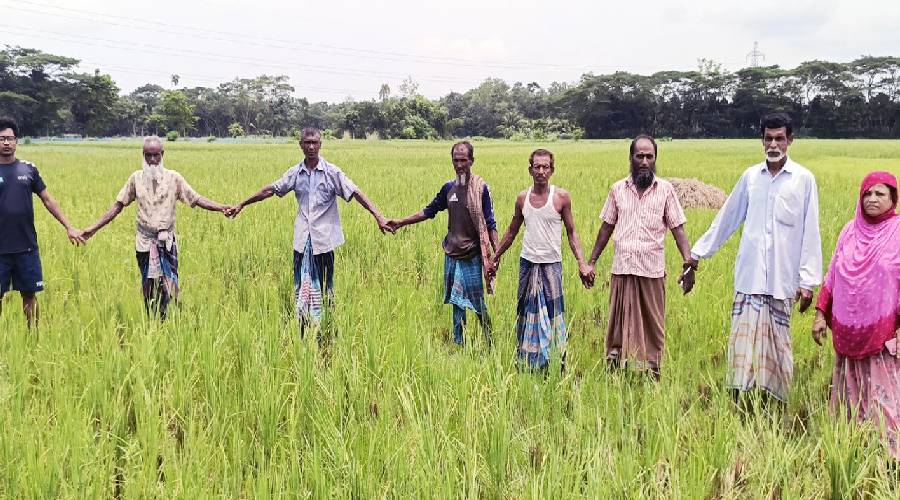 ফরিদগঞ্জে জমি রক্ষায় কৃষকদের গণস্বাক্ষর