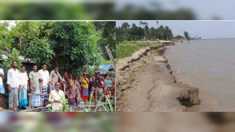 মেঘনা নদী ভাঙনে দিশেহারা জালিয়ারচরবাসী