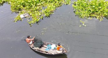 ফরিদগঞ্জে চায়না ম্যাজিকে ডাকাতিয়ায় মাছ নিধনের মহোৎসব