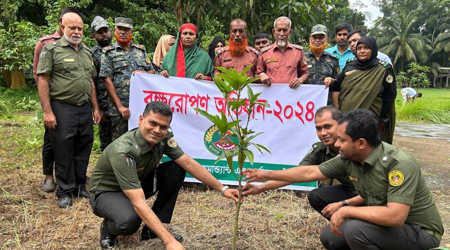 চাঁদপুরে আনসার ও গ্রাম প্রতিরক্ষা বাহিনীর বৃক্ষরোপন কর্মসূচি উদ্বোধন