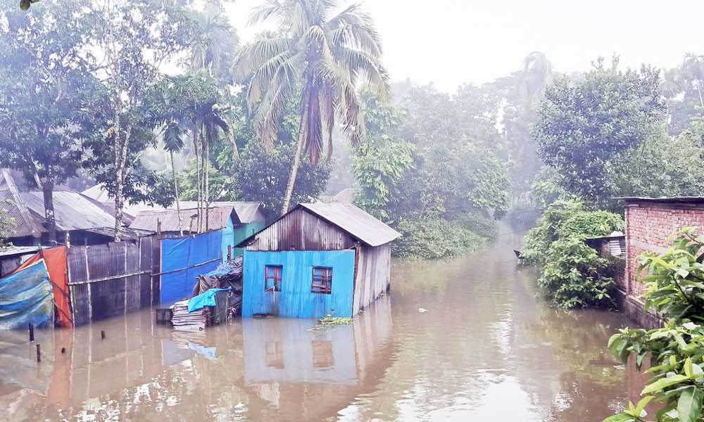 চাঁদপুরে পানিবন্দী লক্ষাধিক মানুষ, মৎস্য ও ফসলের ব্যাপক ক্ষতি