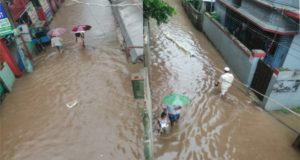 ডাল উৎপাদন, চাঁদপুরে এবার ১ হাজার ১শ মে.টন ডাল উৎপাদন লক্ষ্যমাত্রা নির্ধারণ