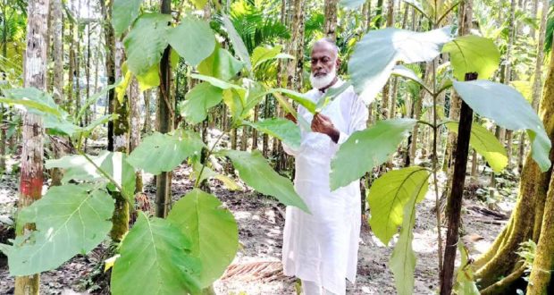 প্রেমে