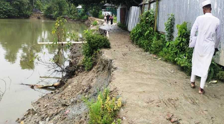 কচুয়া সাচারে পুকুরের মাছ ধরায় রাস্তা ভেঙ্গে জনচলাচলে ভোগান্তি