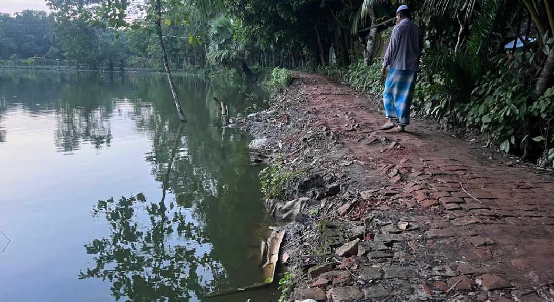 ফরিদগঞ্জে মাছের ঘেরে বিলীন সড়ক